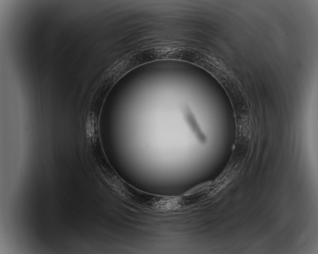 X0000097950138200803241201