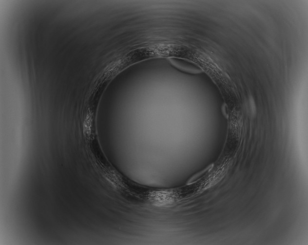 X0000097950139200803241201