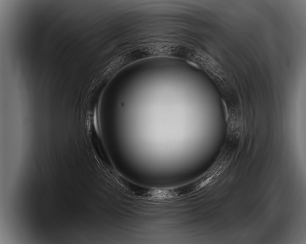 X0000097950141200803241201
