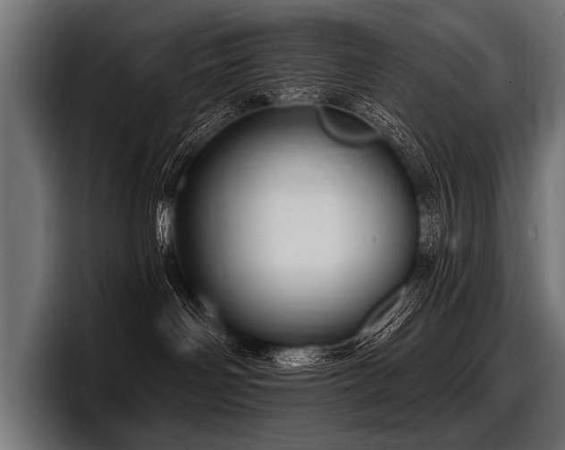 X0000097950142200803241201