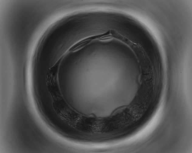 X0000097950143200803241201