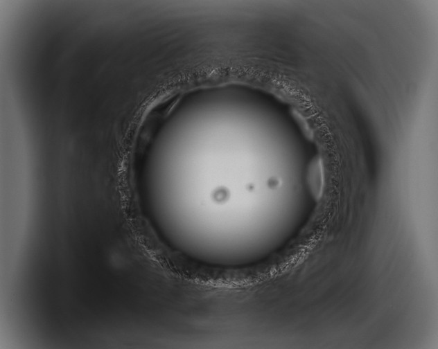 X0000097950144200803241201