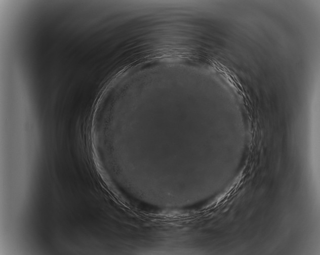 X0000097950145200803241200