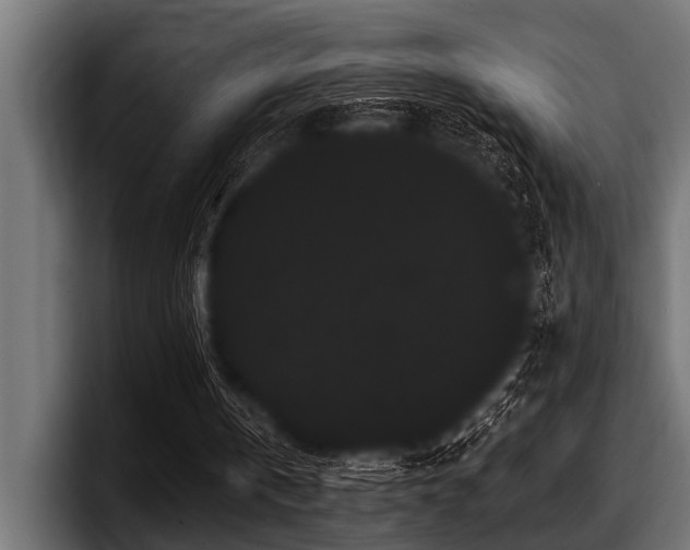 X0000097950146200803241200