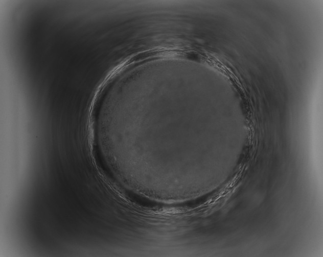 X0000097950149200803241200