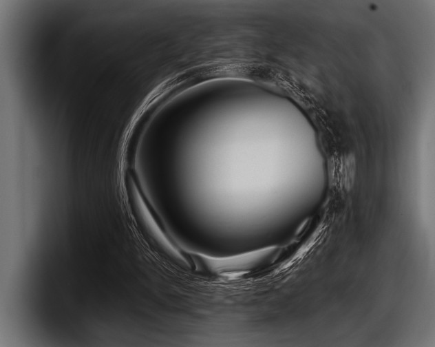 X0000097950150200803241200
