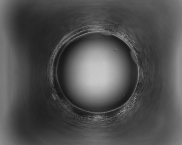 X0000097950151200803241200