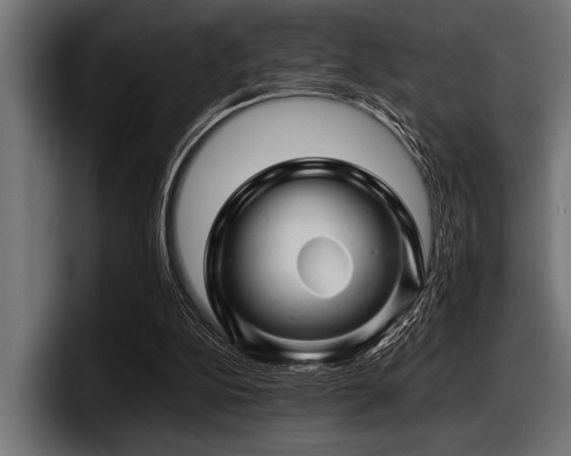 X0000097950152200803241200
