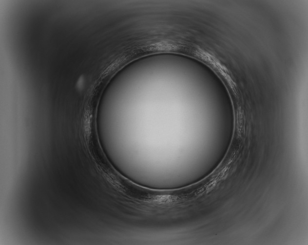 X0000097950153200803241200
