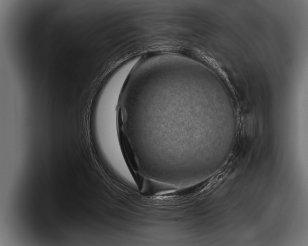 X0000097950154200803241200