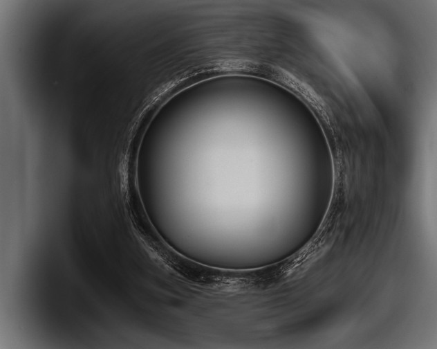 X0000097950155200803241200
