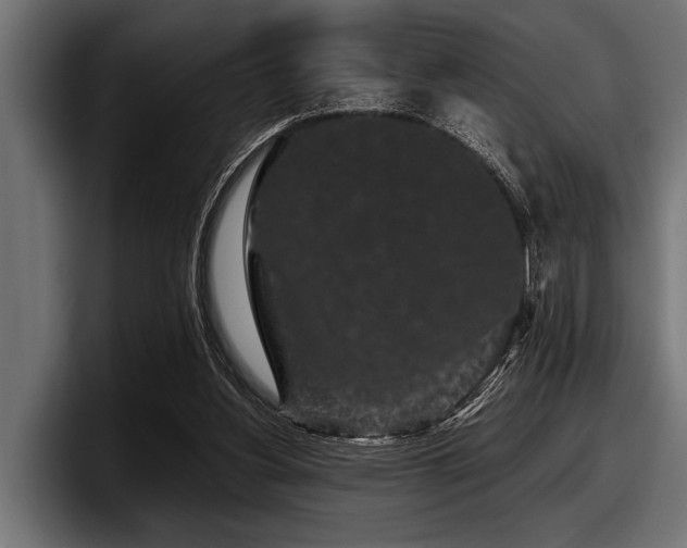 X0000097950156200803241200