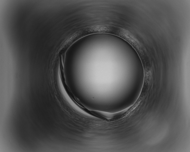 X0000097950158200803241200