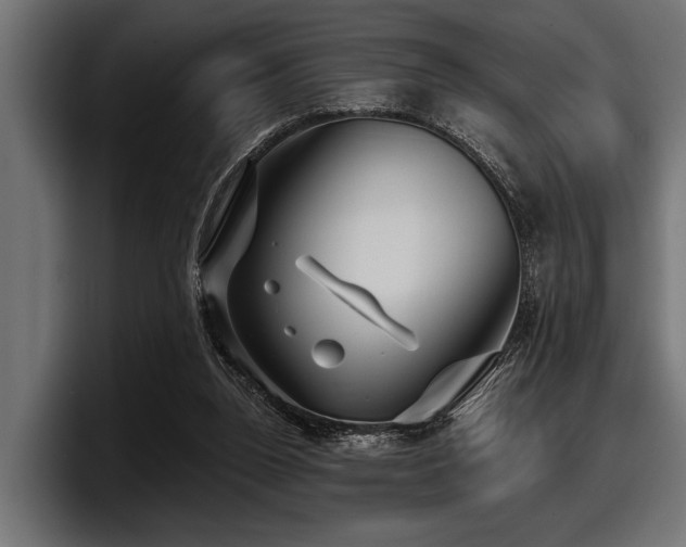 X0000097950160200803241200