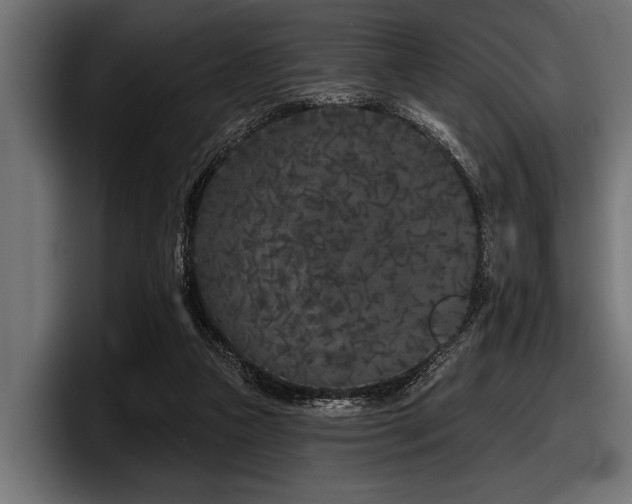 X0000097950161200803241200