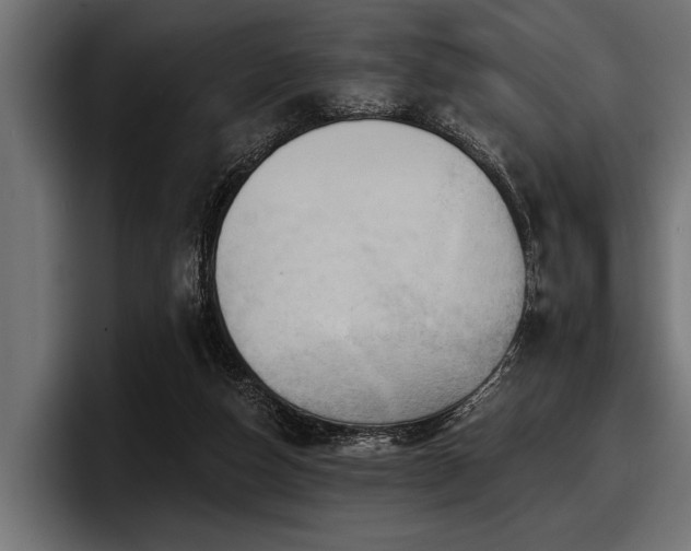 X0000097950162200803241200