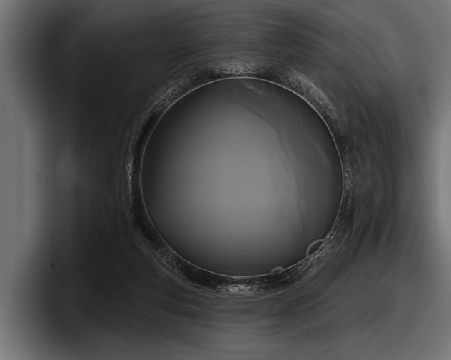 X0000097950163200803241200