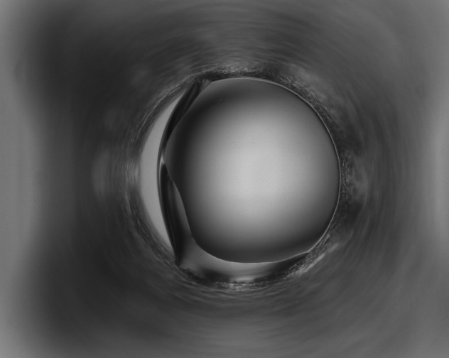 X0000097950164200803241201
