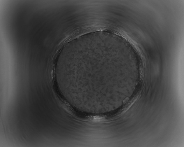 X0000097950165200803241201
