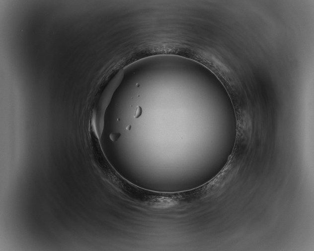 X0000097950166200803241201