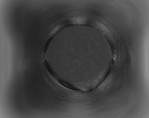 X0000097950168200803241201