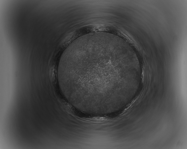 X0000097950169200803241201