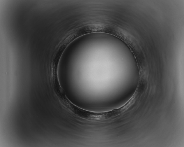 X0000097950170200803241201