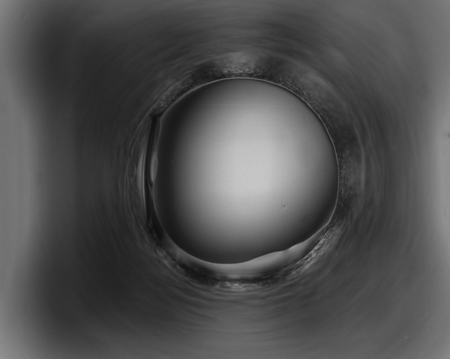 X0000097950172200803241201