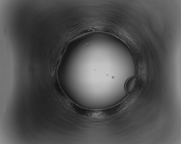 X0000097950173200803241201
