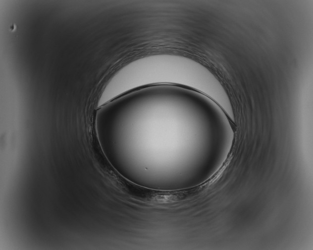 X0000097950174200803241201