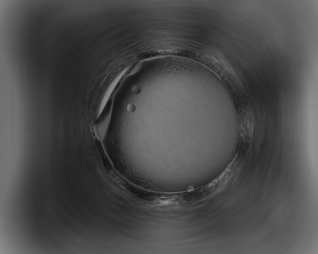 X0000097950175200803241201