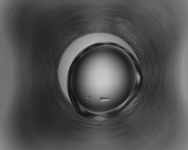 X0000097950176200803241201