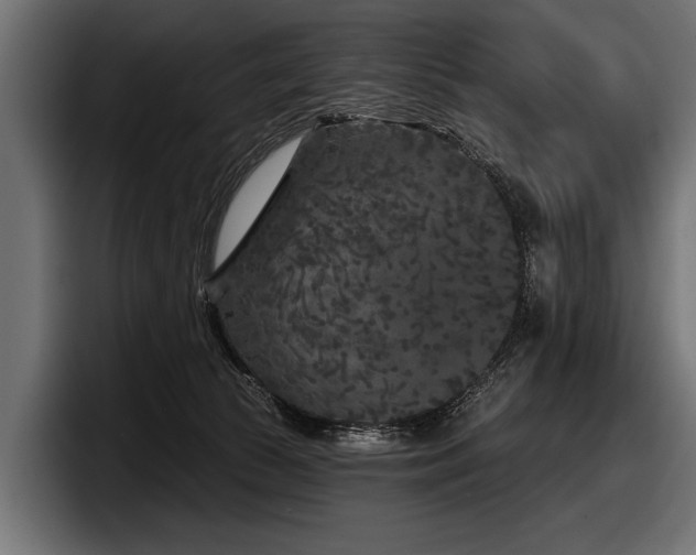 X0000097950177200803241201
