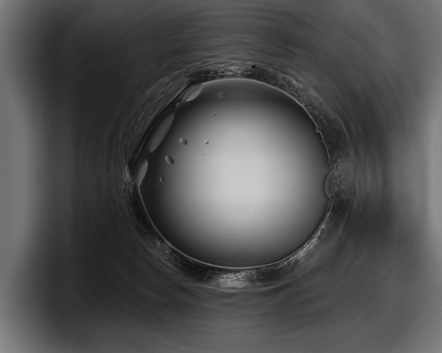 X0000097950178200803241201