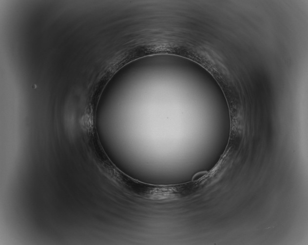 X0000097950179200803241201