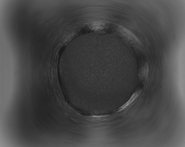 X0000097950180200803241201