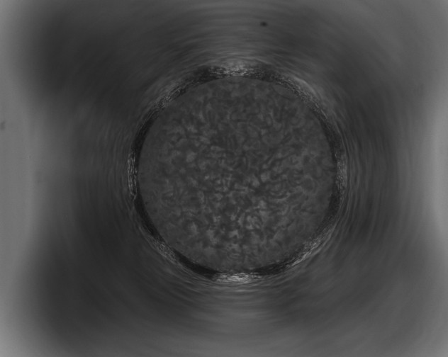 X0000097950181200803241201