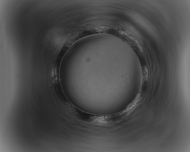 X0000097950182200803241201