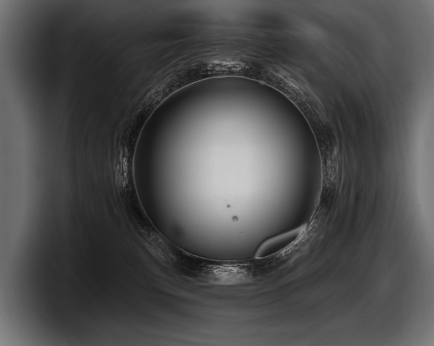 X0000097950183200803241201