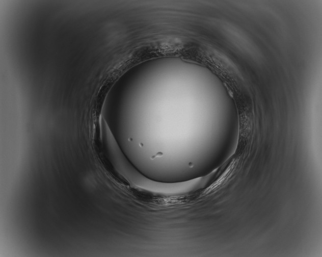 X0000097950184200803241201