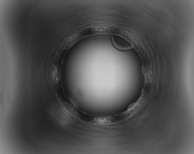 X0000097950187200803241201