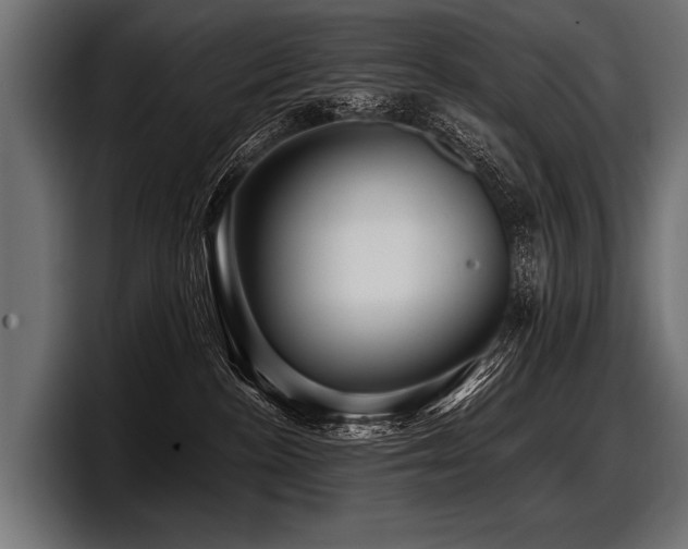 X0000097950188200803241201