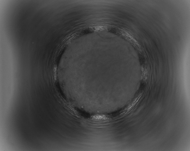 X0000097950189200803241201