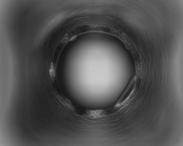 X0000097950191200803241201