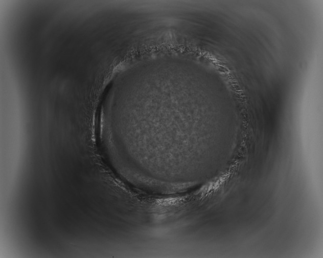 X0000097950192200803241201