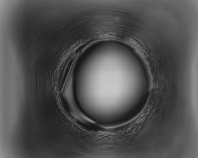 X0000097950193200803241200
