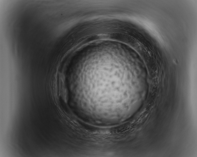 X0000097950194200803241200
