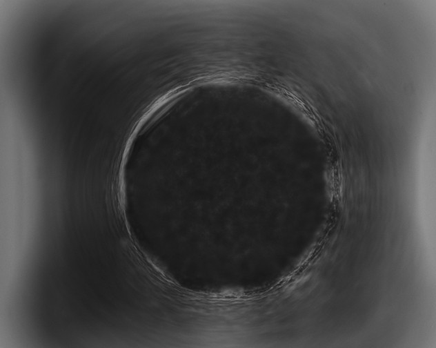 X0000097950196200803241200