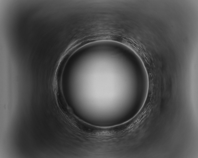 X0000097950198200803241200