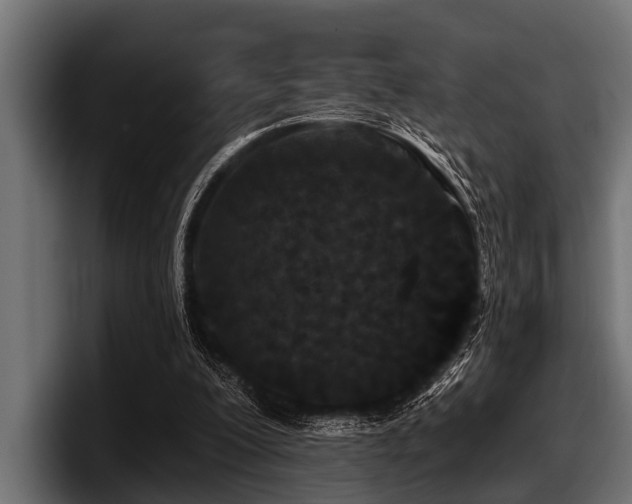 X0000097950200200803241200